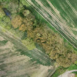 High resolution photogrammetric 2D orthomosaic map of survey area